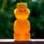 bear Honey